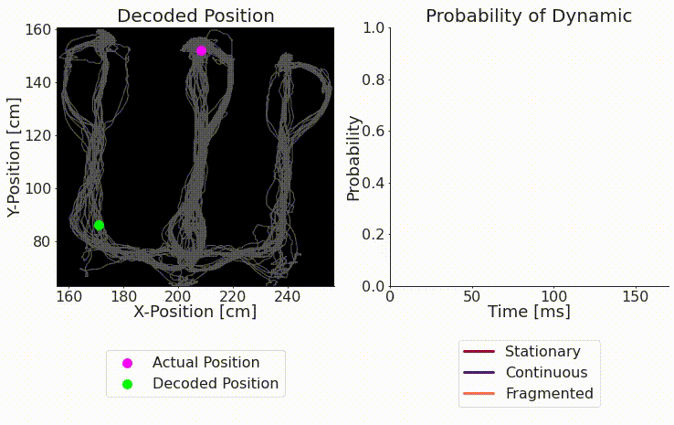 Animation of classifying replay trajectories